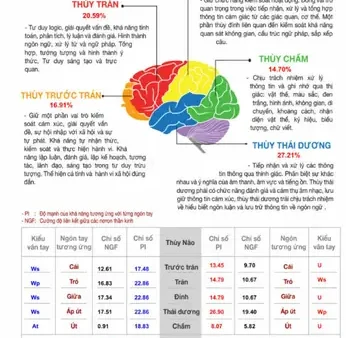 Sinh Trắc Vân Tay Cho Bé: Khám Phá Tiềm Năng & Giải Đáp Thắc Mắc Từ Chuyên Gia