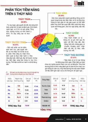 Sinh Trắc Vân Tay Cho Bé: Khám Phá Tiềm Năng & Giải Đáp Thắc Mắc Từ Chuyên Gia