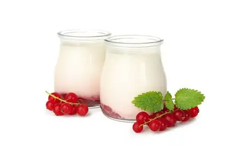Hướng Dẫn Làm Sữa Chua Từ Sữa Mẹ Cho Bé Ăn Dặm Ngon & Bổ Dưỡng