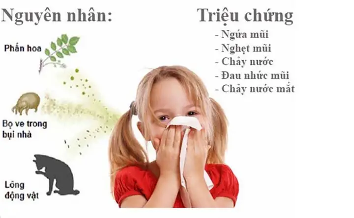 Lấy Nước Mũi Cho Bé An Toàn & Hiệu Quả Tại Nhà: Hướng Dẫn Chi Tiết Lấy Nước Mũi Cho Bé An Toàn & Hiệu Quả Tại Nhà: Hướng Dẫn Chi Tiết