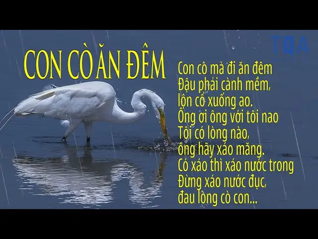 50+ Lời Bài Hát Ru Con Ngủ Ngon & Dễ Thuộc Cho Bé 3 Miền