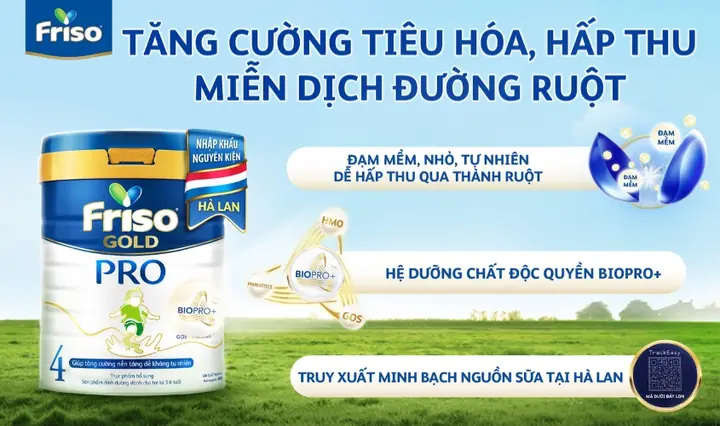 Lượng Cháo Cho Bé 6 Tháng: Bao Nhiêu Là Đủ & Cách Cho Ăn Đúng Chuẩn WHO