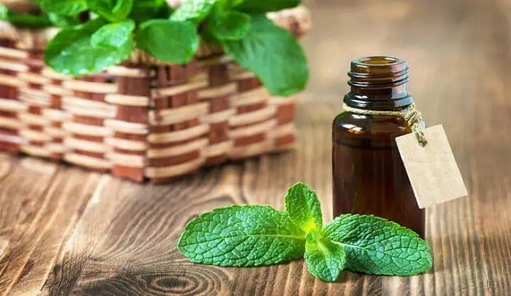 Hướng Dẫn Massage Giảm Nghẹt Mũi Cho Bé: Bí Quyết Đơn Giản Tại Nhà Hướng Dẫn Massage Giảm Nghẹt Mũi Cho Bé: Bí Quyết Đơn Giản Tại Nhà