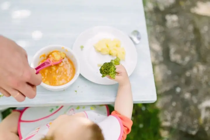 Thực Đơn Ăn Dặm Cho Bé 1 Tuổi: Gợi Ý Món Ngon, Đủ Dinh Dưỡng Cho Bé Phát Triển Toàn Diện Thực Đơn Ăn Dặm Cho Bé 1 Tuổi: Gợi Ý Món Ngon, Đủ Dinh Dưỡng Cho Bé Phát Triển Toàn Diện