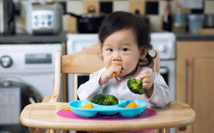 Thực Đơn Ăn Dặm Cho Bé 1 Tuổi: Gợi Ý Món Ngon, Đủ Dinh Dưỡng Cho Bé Phát Triển Toàn Diện Thực Đơn Ăn Dặm Cho Bé 1 Tuổi: Gợi Ý Món Ngon, Đủ Dinh Dưỡng Cho Bé Phát Triển Toàn Diện
