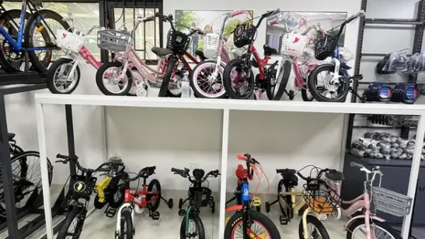 Mua Xe Đạp Cho Bé Ở Đâu Hà Nội: Top Cửa Hàng Uy Tín, Giá Tốt