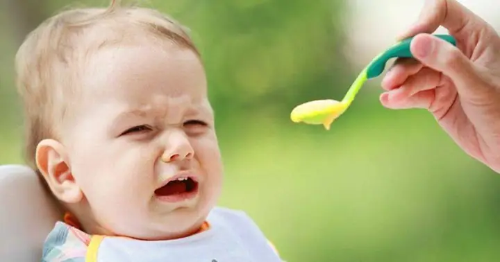 Nghiền Thức Ăn Cho Bé: Hướng Dẫn Chọn Và Sử Dụng Chuẩn Cho Mẹ Bỉm