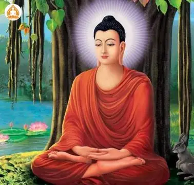 Nhạc Phật Giáo Cho Bé Ngủ Ngon: Lựa Chọn MP3 Ru Con An Lành
