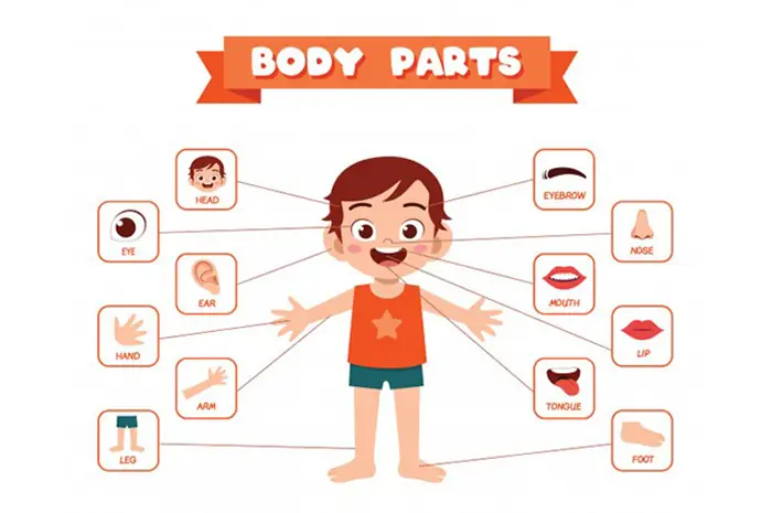 Những Câu Đố Vui Cho Bé Mẫu Giáo Theo Chủ Đề, Có Đáp Án